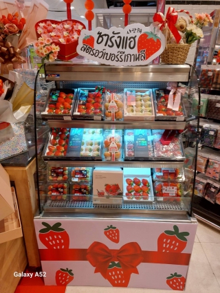 อาปาเช่ เดลี่คูล จำกัด | ผลงาน เช่าตู้แช่, เช่าตู้แช่ออกบูธ, เช่าตู้แช่เค้ก, เช่าตู้แช่แข็ง, เช่าตู้แช่ออกอีเวนท์