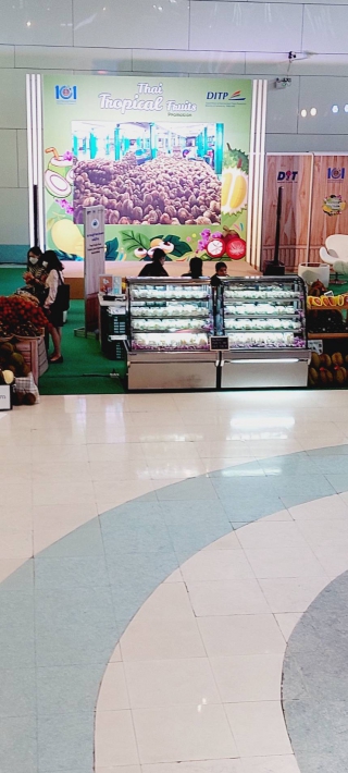 อาปาเช่ เดลี่คูล จำกัด | ผลงาน เช่าตู้แช่, เช่าตู้แช่ออกบูธ, เช่าตู้แช่เค้ก, เช่าตู้แช่แข็ง, เช่าตู้แช่ออกอีเวนท์