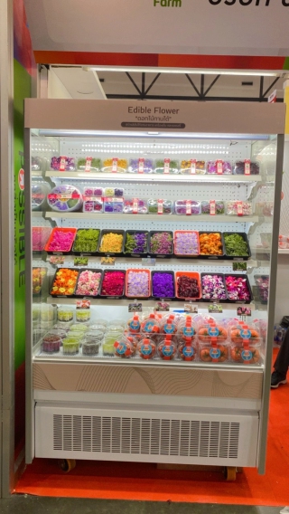 อาปาเช่ เดลี่คูล จำกัด | ผลงาน เช่าตู้แช่, เช่าตู้แช่ออกบูธ, เช่าตู้แช่เค้ก, เช่าตู้แช่แข็ง, เช่าตู้แช่ออกอีเวนท์